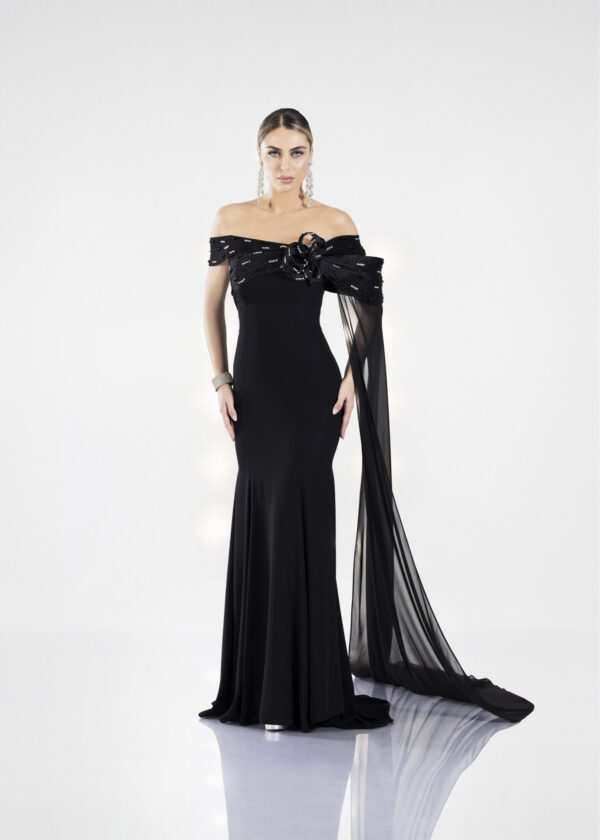 JA_6020-2-2 FRONT VIDEO